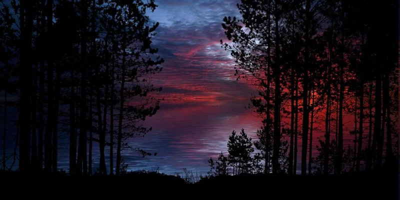 Тишина в темном лесу со сказочным закатом