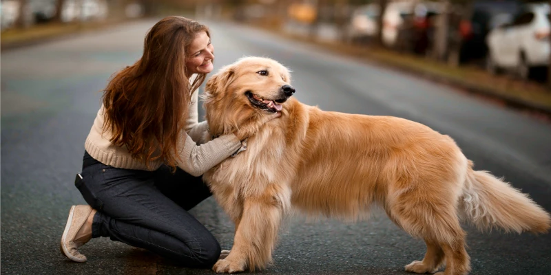 Девушка на колене чешет собаке шею