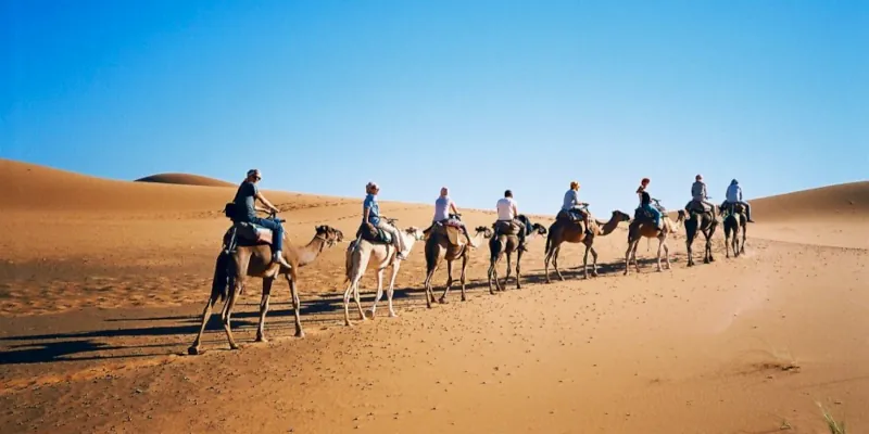 Люди едут по пустыне на верблюдах